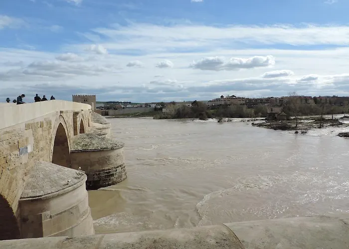 Boutique Caireles Cordoue